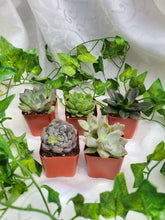 Load image into Gallery viewer, Thank You Giftbox: Gift for Mom, Bridal Party Gift, Self-Care Gift Set, Bridesmaid Proposal Box, Graduation Gift, Party Favor